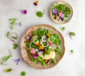 colegio-superior-de-gastronomia-areas-galeria-img3